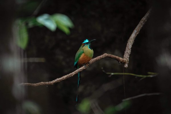 Can a Dual Battery System Be Installed in a Land Rover Discovery for Extended Off-Grid Capability?